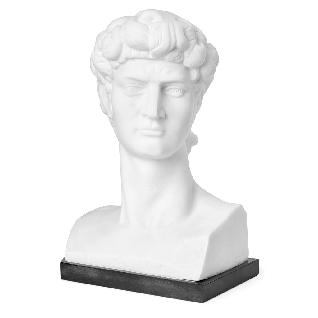 Bust in Marble inspired by Michelangelo's David