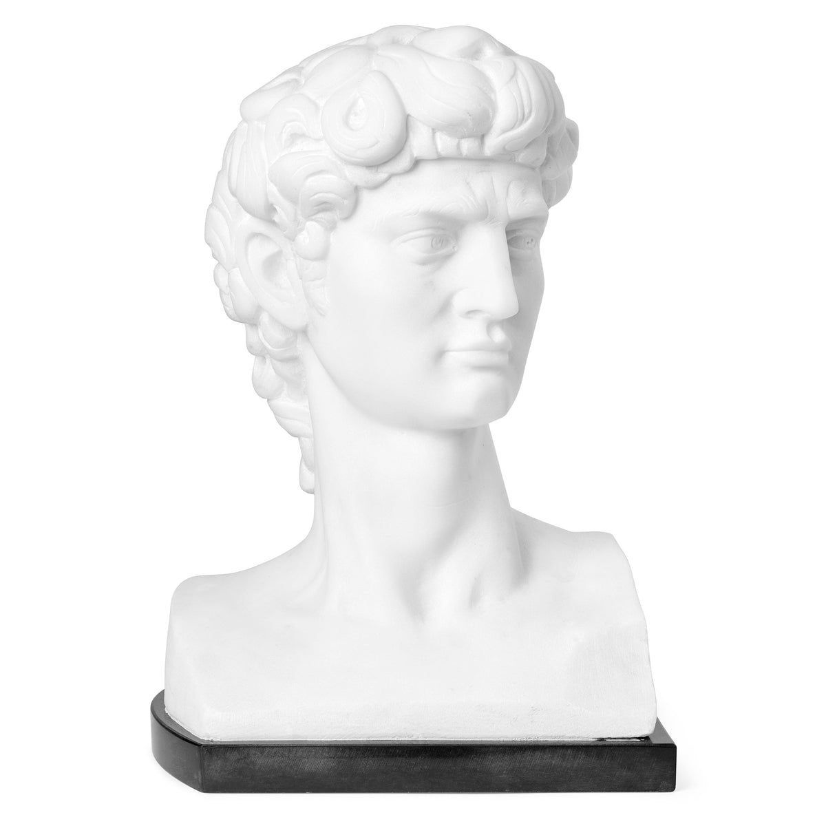 Bust in Marble inspired by Michelangelo's David